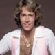 andy-gibb